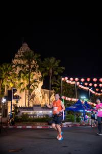 BIB: 
                            <button type="button" onclick="openModal(14958319)" class="btn btn-primary btn-sm float-right btn-popup" data-toggle="modal" data-target=".modal-high-quality">
                        <i class="fas fa-shopping-cart"></i> Add to Cart
                    </button>
                                            <button type="button" onclick="isThisMe(14958319, true)" class="btn btn-success btn-sm float-right btn-popup btn-isme hidden" data-toggle="tooltip" data-placement="bottom" title="นี่คือรูปของคุณใช่ไหม คลิกที่นี่เพื่อเอาเข้าอัลบั้ม">
                        <i class="fas fa-plus"></i> Add to album
                    </button>
                    <button type="button" onclick="isThisMe(14958319, false)" class="btn btn-warning btn-sm float-right btn-popup btn-isnotme hidden">
                        <i class="fas fa-ban"></i> Remove from album
                    </button>