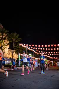 BIB: 
                            <button type="button" onclick="openModal(14713788)" class="btn btn-primary btn-sm float-right btn-popup" data-toggle="modal" data-target=".modal-high-quality">
                        <i class="fas fa-shopping-cart"></i> Add to Cart
                    </button>
                                            <button type="button" onclick="isThisMe(14713788, true)" class="btn btn-success btn-sm float-right btn-popup btn-isme hidden" data-toggle="tooltip" data-placement="bottom" title="นี่คือรูปของคุณใช่ไหม คลิกที่นี่เพื่อเอาเข้าอัลบั้ม">
                        <i class="fas fa-plus"></i> Add to album
                    </button>
                    <button type="button" onclick="isThisMe(14713788, false)" class="btn btn-warning btn-sm float-right btn-popup btn-isnotme hidden">
                        <i class="fas fa-ban"></i> Remove from album
                    </button>