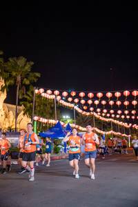 BIB: 
                            <button type="button" onclick="openModal(15678871)" class="btn btn-primary btn-sm float-right btn-popup" data-toggle="modal" data-target=".modal-high-quality">
                        <i class="fas fa-shopping-cart"></i> Add to Cart
                    </button>
                                            <button type="button" onclick="isThisMe(15678871, true)" class="btn btn-success btn-sm float-right btn-popup btn-isme hidden" data-toggle="tooltip" data-placement="bottom" title="นี่คือรูปของคุณใช่ไหม คลิกที่นี่เพื่อเอาเข้าอัลบั้ม">
                        <i class="fas fa-plus"></i> Add to album
                    </button>
                    <button type="button" onclick="isThisMe(15678871, false)" class="btn btn-warning btn-sm float-right btn-popup btn-isnotme hidden">
                        <i class="fas fa-ban"></i> Remove from album
                    </button>