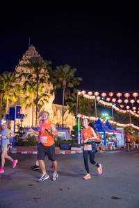 BIB: 
                            <button type="button" onclick="openModal(15672376)" class="btn btn-primary btn-sm float-right btn-popup" data-toggle="modal" data-target=".modal-high-quality">
                        <i class="fas fa-shopping-cart"></i> Add to Cart
                    </button>
                                            <button type="button" onclick="isThisMe(15672376, true)" class="btn btn-success btn-sm float-right btn-popup btn-isme hidden" data-toggle="tooltip" data-placement="bottom" title="นี่คือรูปของคุณใช่ไหม คลิกที่นี่เพื่อเอาเข้าอัลบั้ม">
                        <i class="fas fa-plus"></i> Add to album
                    </button>
                    <button type="button" onclick="isThisMe(15672376, false)" class="btn btn-warning btn-sm float-right btn-popup btn-isnotme hidden">
                        <i class="fas fa-ban"></i> Remove from album
                    </button>