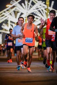 BIB: 26948, 2022, 47039
                            <button type="button" onclick="openModal(15795996)" class="btn btn-primary btn-sm float-right btn-popup" data-toggle="modal" data-target=".modal-high-quality">
                        <i class="fas fa-shopping-cart"></i> Add to Cart
                    </button>
                                            <button type="button" onclick="isThisMe(15795996, true)" class="btn btn-success btn-sm float-right btn-popup btn-isme hidden" data-toggle="tooltip" data-placement="bottom" title="นี่คือรูปของคุณใช่ไหม คลิกที่นี่เพื่อเอาเข้าอัลบั้ม">
                        <i class="fas fa-plus"></i> Add to album
                    </button>
                    <button type="button" onclick="isThisMe(15795996, false)" class="btn btn-warning btn-sm float-right btn-popup btn-isnotme hidden">
                        <i class="fas fa-ban"></i> Remove from album
                    </button>
