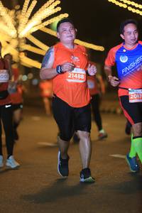 BIB: 21488, 2087
                            <button type="button" onclick="openModal(14878294)" class="btn btn-primary btn-sm float-right btn-popup" data-toggle="modal" data-target=".modal-high-quality">
                        <i class="fas fa-shopping-cart"></i> Add to Cart
                    </button>
                                            <button type="button" onclick="isThisMe(14878294, true)" class="btn btn-success btn-sm float-right btn-popup btn-isme hidden" data-toggle="tooltip" data-placement="bottom" title="นี่คือรูปของคุณใช่ไหม คลิกที่นี่เพื่อเอาเข้าอัลบั้ม">
                        <i class="fas fa-plus"></i> Add to album
                    </button>
                    <button type="button" onclick="isThisMe(14878294, false)" class="btn btn-warning btn-sm float-right btn-popup btn-isnotme hidden">
                        <i class="fas fa-ban"></i> Remove from album
                    </button>