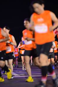 BIB: 
                            <button type="button" onclick="openModal(14466701)" class="btn btn-primary btn-sm float-right btn-popup" data-toggle="modal" data-target=".modal-high-quality">
                        <i class="fas fa-shopping-cart"></i> Add to Cart
                    </button>
                                            <button type="button" onclick="isThisMe(14466701, true)" class="btn btn-success btn-sm float-right btn-popup btn-isme hidden" data-toggle="tooltip" data-placement="bottom" title="นี่คือรูปของคุณใช่ไหม คลิกที่นี่เพื่อเอาเข้าอัลบั้ม">
                        <i class="fas fa-plus"></i> Add to album
                    </button>
                    <button type="button" onclick="isThisMe(14466701, false)" class="btn btn-warning btn-sm float-right btn-popup btn-isnotme hidden">
                        <i class="fas fa-ban"></i> Remove from album
                    </button>