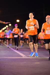 BIB: 26943, 298
                            <button type="button" onclick="openModal(14452634)" class="btn btn-primary btn-sm float-right btn-popup" data-toggle="modal" data-target=".modal-high-quality">
                        <i class="fas fa-shopping-cart"></i> Add to Cart
                    </button>
                                            <button type="button" onclick="isThisMe(14452634, true)" class="btn btn-success btn-sm float-right btn-popup btn-isme hidden" data-toggle="tooltip" data-placement="bottom" title="นี่คือรูปของคุณใช่ไหม คลิกที่นี่เพื่อเอาเข้าอัลบั้ม">
                        <i class="fas fa-plus"></i> Add to album
                    </button>
                    <button type="button" onclick="isThisMe(14452634, false)" class="btn btn-warning btn-sm float-right btn-popup btn-isnotme hidden">
                        <i class="fas fa-ban"></i> Remove from album
                    </button>