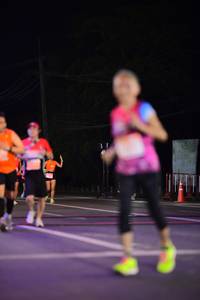 BIB: 
                            <button type="button" onclick="openModal(14384228)" class="btn btn-primary btn-sm float-right btn-popup" data-toggle="modal" data-target=".modal-high-quality">
                        <i class="fas fa-shopping-cart"></i> Add to Cart
                    </button>
                                            <button type="button" onclick="isThisMe(14384228, true)" class="btn btn-success btn-sm float-right btn-popup btn-isme hidden" data-toggle="tooltip" data-placement="bottom" title="นี่คือรูปของคุณใช่ไหม คลิกที่นี่เพื่อเอาเข้าอัลบั้ม">
                        <i class="fas fa-plus"></i> Add to album
                    </button>
                    <button type="button" onclick="isThisMe(14384228, false)" class="btn btn-warning btn-sm float-right btn-popup btn-isnotme hidden">
                        <i class="fas fa-ban"></i> Remove from album
                    </button>