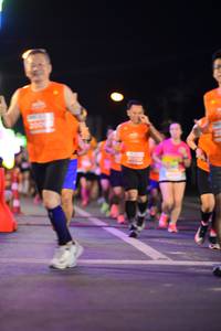 BIB: 
                            <button type="button" onclick="openModal(14392055)" class="btn btn-primary btn-sm float-right btn-popup" data-toggle="modal" data-target=".modal-high-quality">
                        <i class="fas fa-shopping-cart"></i> Add to Cart
                    </button>
                                            <button type="button" onclick="isThisMe(14392055, true)" class="btn btn-success btn-sm float-right btn-popup btn-isme hidden" data-toggle="tooltip" data-placement="bottom" title="นี่คือรูปของคุณใช่ไหม คลิกที่นี่เพื่อเอาเข้าอัลบั้ม">
                        <i class="fas fa-plus"></i> Add to album
                    </button>
                    <button type="button" onclick="isThisMe(14392055, false)" class="btn btn-warning btn-sm float-right btn-popup btn-isnotme hidden">
                        <i class="fas fa-ban"></i> Remove from album
                    </button>