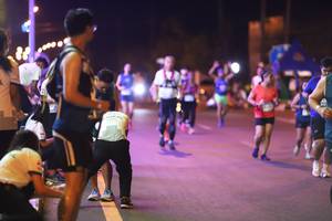 BIB: 
                            <button type="button" onclick="openModal(14805797)" class="btn btn-primary btn-sm float-right btn-popup" data-toggle="modal" data-target=".modal-high-quality">
                        <i class="fas fa-shopping-cart"></i> Add to Cart
                    </button>
                                            <button type="button" onclick="isThisMe(14805797, true)" class="btn btn-success btn-sm float-right btn-popup btn-isme hidden" data-toggle="tooltip" data-placement="bottom" title="นี่คือรูปของคุณใช่ไหม คลิกที่นี่เพื่อเอาเข้าอัลบั้ม">
                        <i class="fas fa-plus"></i> Add to album
                    </button>
                    <button type="button" onclick="isThisMe(14805797, false)" class="btn btn-warning btn-sm float-right btn-popup btn-isnotme hidden">
                        <i class="fas fa-ban"></i> Remove from album
                    </button>