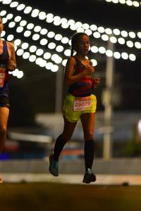 BIB: 29079
                            <button type="button" onclick="openModal(15614194)" class="btn btn-primary btn-sm float-right btn-popup" data-toggle="modal" data-target=".modal-high-quality">
                        <i class="fas fa-shopping-cart"></i> Add to Cart
                    </button>
                                            <button type="button" onclick="isThisMe(15614194, true)" class="btn btn-success btn-sm float-right btn-popup btn-isme hidden" data-toggle="tooltip" data-placement="bottom" title="นี่คือรูปของคุณใช่ไหม คลิกที่นี่เพื่อเอาเข้าอัลบั้ม">
                        <i class="fas fa-plus"></i> Add to album
                    </button>
                    <button type="button" onclick="isThisMe(15614194, false)" class="btn btn-warning btn-sm float-right btn-popup btn-isnotme hidden">
                        <i class="fas fa-ban"></i> Remove from album
                    </button>