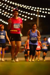 BIB: 294
                            <button type="button" onclick="openModal(13795305)" class="btn btn-primary btn-sm float-right btn-popup" data-toggle="modal" data-target=".modal-high-quality">
                        <i class="fas fa-shopping-cart"></i> Add to Cart
                    </button>
                                            <button type="button" onclick="isThisMe(13795305, true)" class="btn btn-success btn-sm float-right btn-popup btn-isme hidden" data-toggle="tooltip" data-placement="bottom" title="นี่คือรูปของคุณใช่ไหม คลิกที่นี่เพื่อเอาเข้าอัลบั้ม">
                        <i class="fas fa-plus"></i> Add to album
                    </button>
                    <button type="button" onclick="isThisMe(13795305, false)" class="btn btn-warning btn-sm float-right btn-popup btn-isnotme hidden">
                        <i class="fas fa-ban"></i> Remove from album
                    </button>