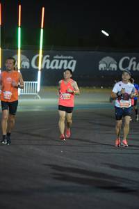 BIB: 741, 2202
                            <button type="button" onclick="openModal(14662688)" class="btn btn-primary btn-sm float-right btn-popup" data-toggle="modal" data-target=".modal-high-quality">
                        <i class="fas fa-shopping-cart"></i> Add to Cart
                    </button>
                                            <button type="button" onclick="isThisMe(14662688, true)" class="btn btn-success btn-sm float-right btn-popup btn-isme hidden" data-toggle="tooltip" data-placement="bottom" title="นี่คือรูปของคุณใช่ไหม คลิกที่นี่เพื่อเอาเข้าอัลบั้ม">
                        <i class="fas fa-plus"></i> Add to album
                    </button>
                    <button type="button" onclick="isThisMe(14662688, false)" class="btn btn-warning btn-sm float-right btn-popup btn-isnotme hidden">
                        <i class="fas fa-ban"></i> Remove from album
                    </button>