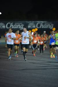 BIB: 
                            <button type="button" onclick="openModal(14661952)" class="btn btn-primary btn-sm float-right btn-popup" data-toggle="modal" data-target=".modal-high-quality">
                        <i class="fas fa-shopping-cart"></i> Add to Cart
                    </button>
                                            <button type="button" onclick="isThisMe(14661952, true)" class="btn btn-success btn-sm float-right btn-popup btn-isme hidden" data-toggle="tooltip" data-placement="bottom" title="นี่คือรูปของคุณใช่ไหม คลิกที่นี่เพื่อเอาเข้าอัลบั้ม">
                        <i class="fas fa-plus"></i> Add to album
                    </button>
                    <button type="button" onclick="isThisMe(14661952, false)" class="btn btn-warning btn-sm float-right btn-popup btn-isnotme hidden">
                        <i class="fas fa-ban"></i> Remove from album
                    </button>