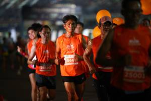 BIB: 2566, 25120
                            <button type="button" onclick="openModal(14230507)" class="btn btn-primary btn-sm float-right btn-popup" data-toggle="modal" data-target=".modal-high-quality">
                        <i class="fas fa-shopping-cart"></i> Add to Cart
                    </button>
                                            <button type="button" onclick="isThisMe(14230507, true)" class="btn btn-success btn-sm float-right btn-popup btn-isme hidden" data-toggle="tooltip" data-placement="bottom" title="นี่คือรูปของคุณใช่ไหม คลิกที่นี่เพื่อเอาเข้าอัลบั้ม">
                        <i class="fas fa-plus"></i> Add to album
                    </button>
                    <button type="button" onclick="isThisMe(14230507, false)" class="btn btn-warning btn-sm float-right btn-popup btn-isnotme hidden">
                        <i class="fas fa-ban"></i> Remove from album
                    </button>