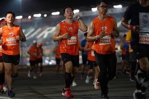 BIB: 26771, 2046, 25550, 25562
                            <button type="button" onclick="openModal(13911103)" class="btn btn-primary btn-sm float-right btn-popup" data-toggle="modal" data-target=".modal-high-quality">
                        <i class="fas fa-shopping-cart"></i> Add to Cart
                    </button>
                                            <button type="button" onclick="isThisMe(13911103, true)" class="btn btn-success btn-sm float-right btn-popup btn-isme hidden" data-toggle="tooltip" data-placement="bottom" title="นี่คือรูปของคุณใช่ไหม คลิกที่นี่เพื่อเอาเข้าอัลบั้ม">
                        <i class="fas fa-plus"></i> Add to album
                    </button>
                    <button type="button" onclick="isThisMe(13911103, false)" class="btn btn-warning btn-sm float-right btn-popup btn-isnotme hidden">
                        <i class="fas fa-ban"></i> Remove from album
                    </button>