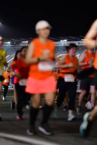 BIB: 
                            <button type="button" onclick="openModal(15721226)" class="btn btn-primary btn-sm float-right btn-popup" data-toggle="modal" data-target=".modal-high-quality">
                        <i class="fas fa-shopping-cart"></i> Add to Cart
                    </button>
                                            <button type="button" onclick="isThisMe(15721226, true)" class="btn btn-success btn-sm float-right btn-popup btn-isme hidden" data-toggle="tooltip" data-placement="bottom" title="นี่คือรูปของคุณใช่ไหม คลิกที่นี่เพื่อเอาเข้าอัลบั้ม">
                        <i class="fas fa-plus"></i> Add to album
                    </button>
                    <button type="button" onclick="isThisMe(15721226, false)" class="btn btn-warning btn-sm float-right btn-popup btn-isnotme hidden">
                        <i class="fas fa-ban"></i> Remove from album
                    </button>