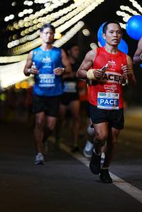 BIB: 41403
                            <button type="button" onclick="openModal(15240786)" class="btn btn-primary btn-sm float-right btn-popup" data-toggle="modal" data-target=".modal-high-quality">
                        <i class="fas fa-shopping-cart"></i> Add to Cart
                    </button>
                                            <button type="button" onclick="isThisMe(15240786, true)" class="btn btn-success btn-sm float-right btn-popup btn-isme hidden" data-toggle="tooltip" data-placement="bottom" title="นี่คือรูปของคุณใช่ไหม คลิกที่นี่เพื่อเอาเข้าอัลบั้ม">
                        <i class="fas fa-plus"></i> Add to album
                    </button>
                    <button type="button" onclick="isThisMe(15240786, false)" class="btn btn-warning btn-sm float-right btn-popup btn-isnotme hidden">
                        <i class="fas fa-ban"></i> Remove from album
                    </button>
