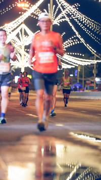 BIB: 
                            <button type="button" onclick="openModal(15500299)" class="btn btn-primary btn-sm float-right btn-popup" data-toggle="modal" data-target=".modal-high-quality">
                        <i class="fas fa-shopping-cart"></i> Add to Cart
                    </button>
                                            <button type="button" onclick="isThisMe(15500299, true)" class="btn btn-success btn-sm float-right btn-popup btn-isme hidden" data-toggle="tooltip" data-placement="bottom" title="นี่คือรูปของคุณใช่ไหม คลิกที่นี่เพื่อเอาเข้าอัลบั้ม">
                        <i class="fas fa-plus"></i> Add to album
                    </button>
                    <button type="button" onclick="isThisMe(15500299, false)" class="btn btn-warning btn-sm float-right btn-popup btn-isnotme hidden">
                        <i class="fas fa-ban"></i> Remove from album
                    </button>