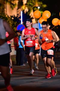 BIB: 245
                            <button type="button" onclick="openModal(14311491)" class="btn btn-primary btn-sm float-right btn-popup" data-toggle="modal" data-target=".modal-high-quality">
                        <i class="fas fa-shopping-cart"></i> Add to Cart
                    </button>
                                            <button type="button" onclick="isThisMe(14311491, true)" class="btn btn-success btn-sm float-right btn-popup btn-isme hidden" data-toggle="tooltip" data-placement="bottom" title="นี่คือรูปของคุณใช่ไหม คลิกที่นี่เพื่อเอาเข้าอัลบั้ม">
                        <i class="fas fa-plus"></i> Add to album
                    </button>
                    <button type="button" onclick="isThisMe(14311491, false)" class="btn btn-warning btn-sm float-right btn-popup btn-isnotme hidden">
                        <i class="fas fa-ban"></i> Remove from album
                    </button>