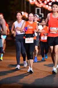 BIB: 239, 26071, 28627
                            <button type="button" onclick="openModal(14324226)" class="btn btn-primary btn-sm float-right btn-popup" data-toggle="modal" data-target=".modal-high-quality">
                        <i class="fas fa-shopping-cart"></i> Add to Cart
                    </button>
                                            <button type="button" onclick="isThisMe(14324226, true)" class="btn btn-success btn-sm float-right btn-popup btn-isme hidden" data-toggle="tooltip" data-placement="bottom" title="นี่คือรูปของคุณใช่ไหม คลิกที่นี่เพื่อเอาเข้าอัลบั้ม">
                        <i class="fas fa-plus"></i> Add to album
                    </button>
                    <button type="button" onclick="isThisMe(14324226, false)" class="btn btn-warning btn-sm float-right btn-popup btn-isnotme hidden">
                        <i class="fas fa-ban"></i> Remove from album
                    </button>