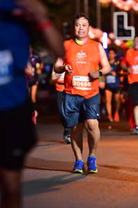 BIB: 
                            <button type="button" onclick="openModal(14369031)" class="btn btn-primary btn-sm float-right btn-popup" data-toggle="modal" data-target=".modal-high-quality">
                        <i class="fas fa-shopping-cart"></i> Add to Cart
                    </button>
                                            <button type="button" onclick="isThisMe(14369031, true)" class="btn btn-success btn-sm float-right btn-popup btn-isme hidden" data-toggle="tooltip" data-placement="bottom" title="นี่คือรูปของคุณใช่ไหม คลิกที่นี่เพื่อเอาเข้าอัลบั้ม">
                        <i class="fas fa-plus"></i> Add to album
                    </button>
                    <button type="button" onclick="isThisMe(14369031, false)" class="btn btn-warning btn-sm float-right btn-popup btn-isnotme hidden">
                        <i class="fas fa-ban"></i> Remove from album
                    </button>