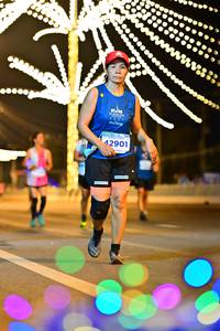 BIB: 26541, 25518, 21512
                            <button type="button" onclick="openModal(13950531)" class="btn btn-primary btn-sm float-right btn-popup" data-toggle="modal" data-target=".modal-high-quality">
                        <i class="fas fa-shopping-cart"></i> Add to Cart
                    </button>
                                            <button type="button" onclick="isThisMe(13950531, true)" class="btn btn-success btn-sm float-right btn-popup btn-isme hidden" data-toggle="tooltip" data-placement="bottom" title="นี่คือรูปของคุณใช่ไหม คลิกที่นี่เพื่อเอาเข้าอัลบั้ม">
                        <i class="fas fa-plus"></i> Add to album
                    </button>
                    <button type="button" onclick="isThisMe(13950531, false)" class="btn btn-warning btn-sm float-right btn-popup btn-isnotme hidden">
                        <i class="fas fa-ban"></i> Remove from album
                    </button>