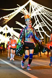 BIB: 26836, 21770, 41028
                            <button type="button" onclick="openModal(13765303)" class="btn btn-primary btn-sm float-right btn-popup" data-toggle="modal" data-target=".modal-high-quality">
                        <i class="fas fa-shopping-cart"></i> Add to Cart
                    </button>
                                            <button type="button" onclick="isThisMe(13765303, true)" class="btn btn-success btn-sm float-right btn-popup btn-isme hidden" data-toggle="tooltip" data-placement="bottom" title="นี่คือรูปของคุณใช่ไหม คลิกที่นี่เพื่อเอาเข้าอัลบั้ม">
                        <i class="fas fa-plus"></i> Add to album
                    </button>
                    <button type="button" onclick="isThisMe(13765303, false)" class="btn btn-warning btn-sm float-right btn-popup btn-isnotme hidden">
                        <i class="fas fa-ban"></i> Remove from album
                    </button>