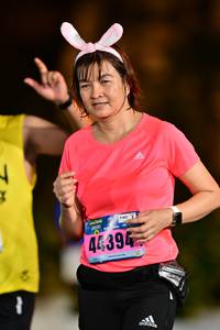 BIB: 403, 46394
                            <button type="button" onclick="openModal(16713312)" class="btn btn-primary btn-sm float-right btn-popup" data-toggle="modal" data-target=".modal-high-quality">
                        <i class="fas fa-shopping-cart"></i> Add to Cart
                    </button>
                                            <button type="button" onclick="isThisMe(16713312, true)" class="btn btn-success btn-sm float-right btn-popup btn-isme hidden" data-toggle="tooltip" data-placement="bottom" title="นี่คือรูปของคุณใช่ไหม คลิกที่นี่เพื่อเอาเข้าอัลบั้ม">
                        <i class="fas fa-plus"></i> Add to album
                    </button>
                    <button type="button" onclick="isThisMe(16713312, false)" class="btn btn-warning btn-sm float-right btn-popup btn-isnotme hidden">
                        <i class="fas fa-ban"></i> Remove from album
                    </button>