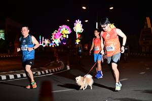 BIB: 12210, 321, 22719
                            <button type="button" onclick="openModal(17269666)" class="btn btn-primary btn-sm float-right btn-popup" data-toggle="modal" data-target=".modal-high-quality">
                        <i class="fas fa-shopping-cart"></i> Add to Cart
                    </button>
                                            <button type="button" onclick="isThisMe(17269666, true)" class="btn btn-success btn-sm float-right btn-popup btn-isme hidden" data-toggle="tooltip" data-placement="bottom" title="นี่คือรูปของคุณใช่ไหม คลิกที่นี่เพื่อเอาเข้าอัลบั้ม">
                        <i class="fas fa-plus"></i> Add to album
                    </button>
                    <button type="button" onclick="isThisMe(17269666, false)" class="btn btn-warning btn-sm float-right btn-popup btn-isnotme hidden">
                        <i class="fas fa-ban"></i> Remove from album
                    </button>