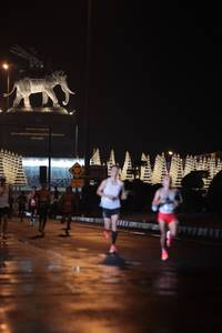 BIB: 
                            <button type="button" onclick="openModal(16150317)" class="btn btn-primary btn-sm float-right btn-popup" data-toggle="modal" data-target=".modal-high-quality">
                        <i class="fas fa-shopping-cart"></i> Add to Cart
                    </button>
                                            <button type="button" onclick="isThisMe(16150317, true)" class="btn btn-success btn-sm float-right btn-popup btn-isme hidden" data-toggle="tooltip" data-placement="bottom" title="นี่คือรูปของคุณใช่ไหม คลิกที่นี่เพื่อเอาเข้าอัลบั้ม">
                        <i class="fas fa-plus"></i> Add to album
                    </button>
                    <button type="button" onclick="isThisMe(16150317, false)" class="btn btn-warning btn-sm float-right btn-popup btn-isnotme hidden">
                        <i class="fas fa-ban"></i> Remove from album
                    </button>