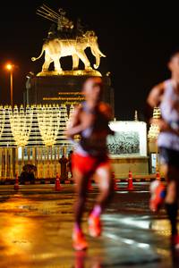 BIB: 
                            <button type="button" onclick="openModal(16317269)" class="btn btn-primary btn-sm float-right btn-popup" data-toggle="modal" data-target=".modal-high-quality">
                        <i class="fas fa-shopping-cart"></i> Add to Cart
                    </button>
                                            <button type="button" onclick="isThisMe(16317269, true)" class="btn btn-success btn-sm float-right btn-popup btn-isme hidden" data-toggle="tooltip" data-placement="bottom" title="นี่คือรูปของคุณใช่ไหม คลิกที่นี่เพื่อเอาเข้าอัลบั้ม">
                        <i class="fas fa-plus"></i> Add to album
                    </button>
                    <button type="button" onclick="isThisMe(16317269, false)" class="btn btn-warning btn-sm float-right btn-popup btn-isnotme hidden">
                        <i class="fas fa-ban"></i> Remove from album
                    </button>