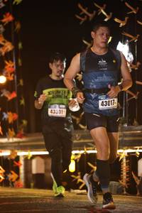 BIB: 43017, 43301
                            <button type="button" onclick="openModal(16141277)" class="btn btn-primary btn-sm float-right btn-popup" data-toggle="modal" data-target=".modal-high-quality">
                        <i class="fas fa-shopping-cart"></i> Add to Cart
                    </button>
                                            <button type="button" onclick="isThisMe(16141277, true)" class="btn btn-success btn-sm float-right btn-popup btn-isme hidden" data-toggle="tooltip" data-placement="bottom" title="นี่คือรูปของคุณใช่ไหม คลิกที่นี่เพื่อเอาเข้าอัลบั้ม">
                        <i class="fas fa-plus"></i> Add to album
                    </button>
                    <button type="button" onclick="isThisMe(16141277, false)" class="btn btn-warning btn-sm float-right btn-popup btn-isnotme hidden">
                        <i class="fas fa-ban"></i> Remove from album
                    </button>