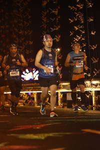 BIB: 40421, 2690
                            <button type="button" onclick="openModal(16151488)" class="btn btn-primary btn-sm float-right btn-popup" data-toggle="modal" data-target=".modal-high-quality">
                        <i class="fas fa-shopping-cart"></i> Add to Cart
                    </button>
                                            <button type="button" onclick="isThisMe(16151488, true)" class="btn btn-success btn-sm float-right btn-popup btn-isme hidden" data-toggle="tooltip" data-placement="bottom" title="นี่คือรูปของคุณใช่ไหม คลิกที่นี่เพื่อเอาเข้าอัลบั้ม">
                        <i class="fas fa-plus"></i> Add to album
                    </button>
                    <button type="button" onclick="isThisMe(16151488, false)" class="btn btn-warning btn-sm float-right btn-popup btn-isnotme hidden">
                        <i class="fas fa-ban"></i> Remove from album
                    </button>