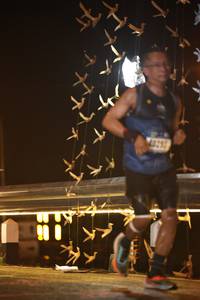 BIB: 
                            <button type="button" onclick="openModal(16139951)" class="btn btn-primary btn-sm float-right btn-popup" data-toggle="modal" data-target=".modal-high-quality">
                        <i class="fas fa-shopping-cart"></i> Add to Cart
                    </button>
                                            <button type="button" onclick="isThisMe(16139951, true)" class="btn btn-success btn-sm float-right btn-popup btn-isme hidden" data-toggle="tooltip" data-placement="bottom" title="นี่คือรูปของคุณใช่ไหม คลิกที่นี่เพื่อเอาเข้าอัลบั้ม">
                        <i class="fas fa-plus"></i> Add to album
                    </button>
                    <button type="button" onclick="isThisMe(16139951, false)" class="btn btn-warning btn-sm float-right btn-popup btn-isnotme hidden">
                        <i class="fas fa-ban"></i> Remove from album
                    </button>