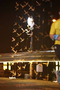 BIB: 
                            <button type="button" onclick="openModal(16162954)" class="btn btn-primary btn-sm float-right btn-popup" data-toggle="modal" data-target=".modal-high-quality">
                        <i class="fas fa-shopping-cart"></i> Add to Cart
                    </button>
                                            <button type="button" onclick="isThisMe(16162954, true)" class="btn btn-success btn-sm float-right btn-popup btn-isme hidden" data-toggle="tooltip" data-placement="bottom" title="นี่คือรูปของคุณใช่ไหม คลิกที่นี่เพื่อเอาเข้าอัลบั้ม">
                        <i class="fas fa-plus"></i> Add to album
                    </button>
                    <button type="button" onclick="isThisMe(16162954, false)" class="btn btn-warning btn-sm float-right btn-popup btn-isnotme hidden">
                        <i class="fas fa-ban"></i> Remove from album
                    </button>