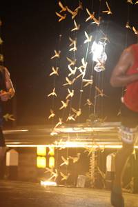 BIB: 
                            <button type="button" onclick="openModal(16112403)" class="btn btn-primary btn-sm float-right btn-popup" data-toggle="modal" data-target=".modal-high-quality">
                        <i class="fas fa-shopping-cart"></i> Add to Cart
                    </button>
                                            <button type="button" onclick="isThisMe(16112403, true)" class="btn btn-success btn-sm float-right btn-popup btn-isme hidden" data-toggle="tooltip" data-placement="bottom" title="นี่คือรูปของคุณใช่ไหม คลิกที่นี่เพื่อเอาเข้าอัลบั้ม">
                        <i class="fas fa-plus"></i> Add to album
                    </button>
                    <button type="button" onclick="isThisMe(16112403, false)" class="btn btn-warning btn-sm float-right btn-popup btn-isnotme hidden">
                        <i class="fas fa-ban"></i> Remove from album
                    </button>