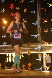 BIB: 44350
                            <button type="button" onclick="openModal(16160138)" class="btn btn-primary btn-sm float-right btn-popup" data-toggle="modal" data-target=".modal-high-quality">
                        <i class="fas fa-shopping-cart"></i> Add to Cart
                    </button>
                                            <button type="button" onclick="isThisMe(16160138, true)" class="btn btn-success btn-sm float-right btn-popup btn-isme hidden" data-toggle="tooltip" data-placement="bottom" title="นี่คือรูปของคุณใช่ไหม คลิกที่นี่เพื่อเอาเข้าอัลบั้ม">
                        <i class="fas fa-plus"></i> Add to album
                    </button>
                    <button type="button" onclick="isThisMe(16160138, false)" class="btn btn-warning btn-sm float-right btn-popup btn-isnotme hidden">
                        <i class="fas fa-ban"></i> Remove from album
                    </button>