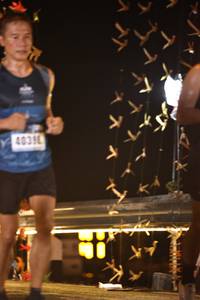 BIB: 40396
                            <button type="button" onclick="openModal(16131415)" class="btn btn-primary btn-sm float-right btn-popup" data-toggle="modal" data-target=".modal-high-quality">
                        <i class="fas fa-shopping-cart"></i> Add to Cart
                    </button>
                                            <button type="button" onclick="isThisMe(16131415, true)" class="btn btn-success btn-sm float-right btn-popup btn-isme hidden" data-toggle="tooltip" data-placement="bottom" title="นี่คือรูปของคุณใช่ไหม คลิกที่นี่เพื่อเอาเข้าอัลบั้ม">
                        <i class="fas fa-plus"></i> Add to album
                    </button>
                    <button type="button" onclick="isThisMe(16131415, false)" class="btn btn-warning btn-sm float-right btn-popup btn-isnotme hidden">
                        <i class="fas fa-ban"></i> Remove from album
                    </button>