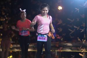 BIB: 394, 94414
                            <button type="button" onclick="openModal(17050263)" class="btn btn-primary btn-sm float-right btn-popup" data-toggle="modal" data-target=".modal-high-quality">
                        <i class="fas fa-shopping-cart"></i> Add to Cart
                    </button>
                                            <button type="button" onclick="isThisMe(17050263, true)" class="btn btn-success btn-sm float-right btn-popup btn-isme hidden" data-toggle="tooltip" data-placement="bottom" title="นี่คือรูปของคุณใช่ไหม คลิกที่นี่เพื่อเอาเข้าอัลบั้ม">
                        <i class="fas fa-plus"></i> Add to album
                    </button>
                    <button type="button" onclick="isThisMe(17050263, false)" class="btn btn-warning btn-sm float-right btn-popup btn-isnotme hidden">
                        <i class="fas fa-ban"></i> Remove from album
                    </button>