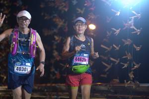 BIB: 44625, 40301
                            <button type="button" onclick="openModal(17065550)" class="btn btn-primary btn-sm float-right btn-popup" data-toggle="modal" data-target=".modal-high-quality">
                        <i class="fas fa-shopping-cart"></i> Add to Cart
                    </button>
                                            <button type="button" onclick="isThisMe(17065550, true)" class="btn btn-success btn-sm float-right btn-popup btn-isme hidden" data-toggle="tooltip" data-placement="bottom" title="นี่คือรูปของคุณใช่ไหม คลิกที่นี่เพื่อเอาเข้าอัลบั้ม">
                        <i class="fas fa-plus"></i> Add to album
                    </button>
                    <button type="button" onclick="isThisMe(17065550, false)" class="btn btn-warning btn-sm float-right btn-popup btn-isnotme hidden">
                        <i class="fas fa-ban"></i> Remove from album
                    </button>
