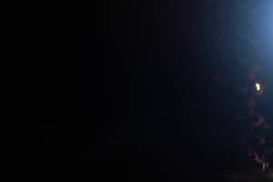 BIB: 
                            <button type="button" onclick="openModal(16989712)" class="btn btn-primary btn-sm float-right btn-popup" data-toggle="modal" data-target=".modal-high-quality">
                        <i class="fas fa-shopping-cart"></i> Add to Cart
                    </button>
                                            <button type="button" onclick="isThisMe(16989712, true)" class="btn btn-success btn-sm float-right btn-popup btn-isme hidden" data-toggle="tooltip" data-placement="bottom" title="นี่คือรูปของคุณใช่ไหม คลิกที่นี่เพื่อเอาเข้าอัลบั้ม">
                        <i class="fas fa-plus"></i> Add to album
                    </button>
                    <button type="button" onclick="isThisMe(16989712, false)" class="btn btn-warning btn-sm float-right btn-popup btn-isnotme hidden">
                        <i class="fas fa-ban"></i> Remove from album
                    </button>