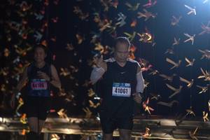 BIB: 44186, 41061
                            <button type="button" onclick="openModal(17015224)" class="btn btn-primary btn-sm float-right btn-popup" data-toggle="modal" data-target=".modal-high-quality">
                        <i class="fas fa-shopping-cart"></i> Add to Cart
                    </button>
                                            <button type="button" onclick="isThisMe(17015224, true)" class="btn btn-success btn-sm float-right btn-popup btn-isme hidden" data-toggle="tooltip" data-placement="bottom" title="นี่คือรูปของคุณใช่ไหม คลิกที่นี่เพื่อเอาเข้าอัลบั้ม">
                        <i class="fas fa-plus"></i> Add to album
                    </button>
                    <button type="button" onclick="isThisMe(17015224, false)" class="btn btn-warning btn-sm float-right btn-popup btn-isnotme hidden">
                        <i class="fas fa-ban"></i> Remove from album
                    </button>