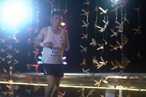 BIB: 41507
                            <button type="button" onclick="openModal(16938519)" class="btn btn-primary btn-sm float-right btn-popup" data-toggle="modal" data-target=".modal-high-quality">
                        <i class="fas fa-shopping-cart"></i> Add to Cart
                    </button>
                                            <button type="button" onclick="isThisMe(16938519, true)" class="btn btn-success btn-sm float-right btn-popup btn-isme hidden" data-toggle="tooltip" data-placement="bottom" title="นี่คือรูปของคุณใช่ไหม คลิกที่นี่เพื่อเอาเข้าอัลบั้ม">
                        <i class="fas fa-plus"></i> Add to album
                    </button>
                    <button type="button" onclick="isThisMe(16938519, false)" class="btn btn-warning btn-sm float-right btn-popup btn-isnotme hidden">
                        <i class="fas fa-ban"></i> Remove from album
                    </button>