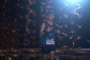 BIB: 42533
                            <button type="button" onclick="openModal(17042278)" class="btn btn-primary btn-sm float-right btn-popup" data-toggle="modal" data-target=".modal-high-quality">
                        <i class="fas fa-shopping-cart"></i> Add to Cart
                    </button>
                                            <button type="button" onclick="isThisMe(17042278, true)" class="btn btn-success btn-sm float-right btn-popup btn-isme hidden" data-toggle="tooltip" data-placement="bottom" title="นี่คือรูปของคุณใช่ไหม คลิกที่นี่เพื่อเอาเข้าอัลบั้ม">
                        <i class="fas fa-plus"></i> Add to album
                    </button>
                    <button type="button" onclick="isThisMe(17042278, false)" class="btn btn-warning btn-sm float-right btn-popup btn-isnotme hidden">
                        <i class="fas fa-ban"></i> Remove from album
                    </button>