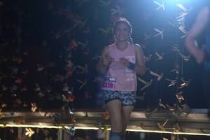 BIB: 4338
                            <button type="button" onclick="openModal(17037177)" class="btn btn-primary btn-sm float-right btn-popup" data-toggle="modal" data-target=".modal-high-quality">
                        <i class="fas fa-shopping-cart"></i> Add to Cart
                    </button>
                                            <button type="button" onclick="isThisMe(17037177, true)" class="btn btn-success btn-sm float-right btn-popup btn-isme hidden" data-toggle="tooltip" data-placement="bottom" title="นี่คือรูปของคุณใช่ไหม คลิกที่นี่เพื่อเอาเข้าอัลบั้ม">
                        <i class="fas fa-plus"></i> Add to album
                    </button>
                    <button type="button" onclick="isThisMe(17037177, false)" class="btn btn-warning btn-sm float-right btn-popup btn-isnotme hidden">
                        <i class="fas fa-ban"></i> Remove from album
                    </button>