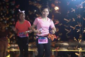 BIB: 44394, 94414
                            <button type="button" onclick="openModal(17050286)" class="btn btn-primary btn-sm float-right btn-popup" data-toggle="modal" data-target=".modal-high-quality">
                        <i class="fas fa-shopping-cart"></i> Add to Cart
                    </button>
                                            <button type="button" onclick="isThisMe(17050286, true)" class="btn btn-success btn-sm float-right btn-popup btn-isme hidden" data-toggle="tooltip" data-placement="bottom" title="นี่คือรูปของคุณใช่ไหม คลิกที่นี่เพื่อเอาเข้าอัลบั้ม">
                        <i class="fas fa-plus"></i> Add to album
                    </button>
                    <button type="button" onclick="isThisMe(17050286, false)" class="btn btn-warning btn-sm float-right btn-popup btn-isnotme hidden">
                        <i class="fas fa-ban"></i> Remove from album
                    </button>