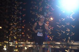 BIB: 42719
                            <button type="button" onclick="openModal(16976421)" class="btn btn-primary btn-sm float-right btn-popup" data-toggle="modal" data-target=".modal-high-quality">
                        <i class="fas fa-shopping-cart"></i> Add to Cart
                    </button>
                                            <button type="button" onclick="isThisMe(16976421, true)" class="btn btn-success btn-sm float-right btn-popup btn-isme hidden" data-toggle="tooltip" data-placement="bottom" title="นี่คือรูปของคุณใช่ไหม คลิกที่นี่เพื่อเอาเข้าอัลบั้ม">
                        <i class="fas fa-plus"></i> Add to album
                    </button>
                    <button type="button" onclick="isThisMe(16976421, false)" class="btn btn-warning btn-sm float-right btn-popup btn-isnotme hidden">
                        <i class="fas fa-ban"></i> Remove from album
                    </button>