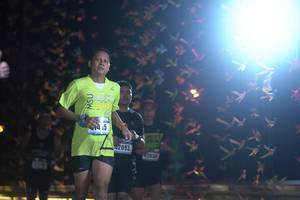 BIB: 42093
                            <button type="button" onclick="openModal(16976336)" class="btn btn-primary btn-sm float-right btn-popup" data-toggle="modal" data-target=".modal-high-quality">
                        <i class="fas fa-shopping-cart"></i> Add to Cart
                    </button>
                                            <button type="button" onclick="isThisMe(16976336, true)" class="btn btn-success btn-sm float-right btn-popup btn-isme hidden" data-toggle="tooltip" data-placement="bottom" title="นี่คือรูปของคุณใช่ไหม คลิกที่นี่เพื่อเอาเข้าอัลบั้ม">
                        <i class="fas fa-plus"></i> Add to album
                    </button>
                    <button type="button" onclick="isThisMe(16976336, false)" class="btn btn-warning btn-sm float-right btn-popup btn-isnotme hidden">
                        <i class="fas fa-ban"></i> Remove from album
                    </button>