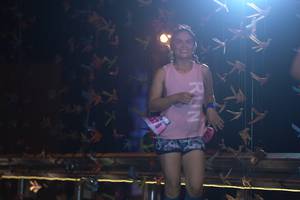 BIB: 
                            <button type="button" onclick="openModal(17037178)" class="btn btn-primary btn-sm float-right btn-popup" data-toggle="modal" data-target=".modal-high-quality">
                        <i class="fas fa-shopping-cart"></i> Add to Cart
                    </button>
                                            <button type="button" onclick="isThisMe(17037178, true)" class="btn btn-success btn-sm float-right btn-popup btn-isme hidden" data-toggle="tooltip" data-placement="bottom" title="นี่คือรูปของคุณใช่ไหม คลิกที่นี่เพื่อเอาเข้าอัลบั้ม">
                        <i class="fas fa-plus"></i> Add to album
                    </button>
                    <button type="button" onclick="isThisMe(17037178, false)" class="btn btn-warning btn-sm float-right btn-popup btn-isnotme hidden">
                        <i class="fas fa-ban"></i> Remove from album
                    </button>