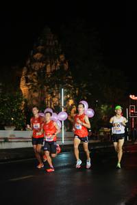 BIB: 
                            <button type="button" onclick="openModal(16317734)" class="btn btn-primary btn-sm float-right btn-popup" data-toggle="modal" data-target=".modal-high-quality">
                        <i class="fas fa-shopping-cart"></i> Add to Cart
                    </button>
                                            <button type="button" onclick="isThisMe(16317734, true)" class="btn btn-success btn-sm float-right btn-popup btn-isme hidden" data-toggle="tooltip" data-placement="bottom" title="นี่คือรูปของคุณใช่ไหม คลิกที่นี่เพื่อเอาเข้าอัลบั้ม">
                        <i class="fas fa-plus"></i> Add to album
                    </button>
                    <button type="button" onclick="isThisMe(16317734, false)" class="btn btn-warning btn-sm float-right btn-popup btn-isnotme hidden">
                        <i class="fas fa-ban"></i> Remove from album
                    </button>