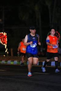 BIB: 42634
                            <button type="button" onclick="openModal(16312513)" class="btn btn-primary btn-sm float-right btn-popup" data-toggle="modal" data-target=".modal-high-quality">
                        <i class="fas fa-shopping-cart"></i> Add to Cart
                    </button>
                                            <button type="button" onclick="isThisMe(16312513, true)" class="btn btn-success btn-sm float-right btn-popup btn-isme hidden" data-toggle="tooltip" data-placement="bottom" title="นี่คือรูปของคุณใช่ไหม คลิกที่นี่เพื่อเอาเข้าอัลบั้ม">
                        <i class="fas fa-plus"></i> Add to album
                    </button>
                    <button type="button" onclick="isThisMe(16312513, false)" class="btn btn-warning btn-sm float-right btn-popup btn-isnotme hidden">
                        <i class="fas fa-ban"></i> Remove from album
                    </button>