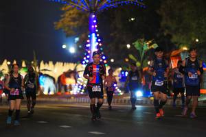 BIB: 2671, 41191, 42739
                            <button type="button" onclick="openModal(16403484)" class="btn btn-primary btn-sm float-right btn-popup" data-toggle="modal" data-target=".modal-high-quality">
                        <i class="fas fa-shopping-cart"></i> Add to Cart
                    </button>
                                            <button type="button" onclick="isThisMe(16403484, true)" class="btn btn-success btn-sm float-right btn-popup btn-isme hidden" data-toggle="tooltip" data-placement="bottom" title="นี่คือรูปของคุณใช่ไหม คลิกที่นี่เพื่อเอาเข้าอัลบั้ม">
                        <i class="fas fa-plus"></i> Add to album
                    </button>
                    <button type="button" onclick="isThisMe(16403484, false)" class="btn btn-warning btn-sm float-right btn-popup btn-isnotme hidden">
                        <i class="fas fa-ban"></i> Remove from album
                    </button>